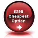 Cheap website illustration button