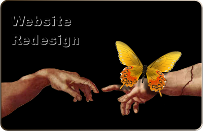 Website Redesign Information Illustration